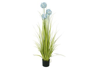 EUROPALMS Allium grass, artificial plant, blue, 120 cm