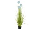 EUROPALMS Alliumgras, Kunstpflanze, blau, 120 cm