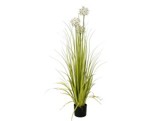 EUROPALMS Allium grass, artificial plant, white, 120 cm