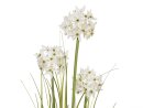 EUROPALMS Allium grass, artificial plant, white, 120 cm