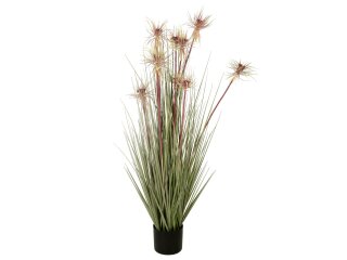 EUROPALMS Sunny grass, artificial plant, 120 cm