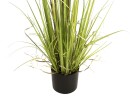 EUROPALMS Evergreen shrub with grass, artificial plant, 120cm