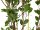 EUROPALMS Evergreen shrub with grass, artificial plant, 120cm