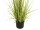 EUROPALMS Evergreen shrub with grass, artificial plant, 120cm