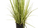 EUROPALMS Evergreen shrub with grass, artificial plant, 182cm