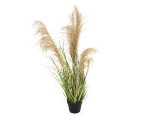 EUROPALMS Chinese silvergrass, artificial, 110cm