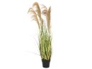 EUROPALMS Chinese silvergrass, artificial, 140cm