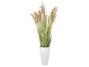 EUROPALMS Chinese silvergrass, artificial, 180cm