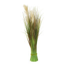Grass bundle with pampas  - Material: out of...