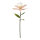Lily with stem out of artificial silk/plastic     Size: 100cm, flower Ø 36cm    Color: rose