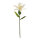 Lilie am Stiel aus Kunstseide/Kunststoff     Groesse: 100cm, Blüte Ø 36cm    Farbe: weiß
