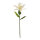 Lily with stem out of artificial silk/plastic     Size: 100cm, flower Ø 36cm    Color: white