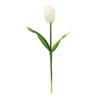 Tulip with stem out of artificial silk/plastic/styrofoam     Size: 70cm, flower Ø 9cm    Color: white