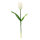 Tulpe am Stiel aus Kunstseide/Kunststoff/Styropor     Groesse: 70cm, Blüte Ø 9cm    Farbe: weiß