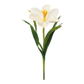 Crocus with stem out of artificial silk/plastic     Size: 70cm, flower Ø 15cm    Color: white