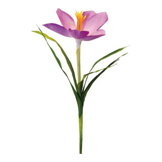 Crocus with stem out of artificial silk/plastic     Size: 70cm, flower Ø 15cm    Color: purple