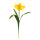 Daffodil with stem out of artificial silk/plastic     Size: 70cm, flower Ø 18cm    Color: yellow
