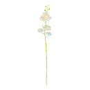 Orchid with stem out of artificial silk/plastic     Size:...