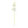 Orchid with stem out of artificial silk/plastic     Size: 90cm    Color: white