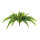 Fern bush with 67 leaves, out of artificial silk/ plastic     Size: Ø 100cm    Color: green