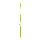 Wooden twig out of natural wood     Size: 90cm, Ø...