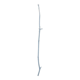 Wooden twig out of natural wood     Size: 90cm, Ø 1,5cm-5cm    Color: light blue