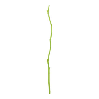 Wooden twig out of natural wood     Size: 90cm, Ø 1,5cm-5cm    Color: light green