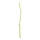 Holzzweig aus Naturholz     Groesse: 90cm, Ø...