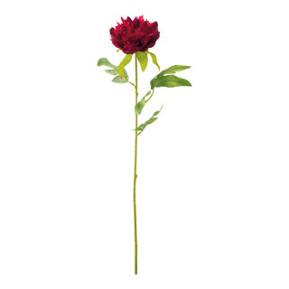 Peony with stem  - Material: out of artificial silk/plastic - Color: bordeaux - Size: 60cm X Blüte Ø 10cm