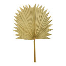 Palm leaf out of natural material     Size: 55x36cm...