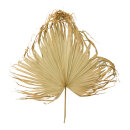 Palmenblatt aus Naturmaterial     Groesse: 120x100cm...