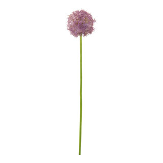 Allium  - Material: out of plastic - Color: green/purple - Size: 76cm X  Ø 14cm