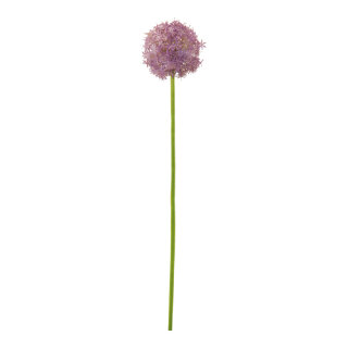 Allium aus Kunststoff     Groesse: 76cm, Ø 14cm - Farbe: grün/violett #