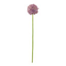 Allium  - Material: out of plastic - Color: green/purple...