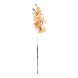 Orchid  - Material: out of plastic/artificial silk - Color: brown/copper - Size: 66cm