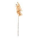 Orchid  - Material: out of plastic/artificial silk -...