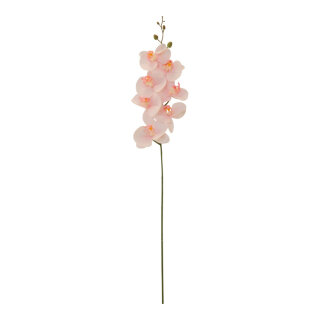 Orchidee aus Kunststoff/Kunstseide     Groesse: 84cm - Farbe: rosa/grün #