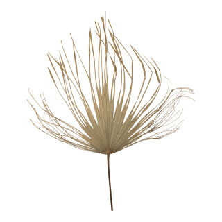 Palm leaf out of natural material     Size: 100x80cm    Color: natural-coloured