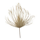 Palm leaf out of natural material     Size: 100x80cm...