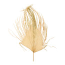 Palmenblatt aus Naturmaterial     Groesse: 110x70cm...