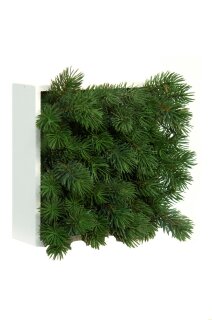 Blumenbox PINO PICEA 20x20x14cm