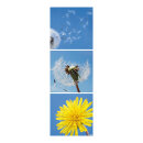 Motivdruck "Pusteblume", Papier,...