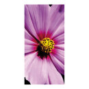 Motivdruck "Cosmea", aus Papier,...