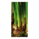 Banner "Flower bulbs" paper - Material:  -...