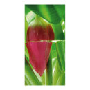 Motivdruck "Tulpenblüte" aus Stoff   Info:...