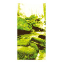 Motivdruck Elfenwald, Papier, Größe: 180x90cm Farbe: grün...