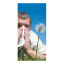 Banner "Hay fever" paper - Material:  - Color:...
