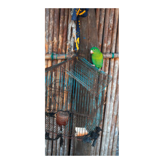 Motivdruck  "Papagei", Papier, Größe: 180x90cm Farbe: braun/bunt   #