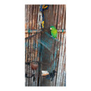 Banner "Parrot" paper - Material:  - Color:...