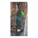 Motivdruck  "Papagei" aus Stoff   Info: SCHWER...